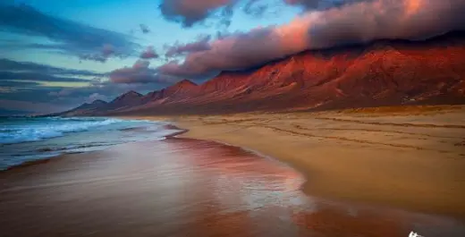 beach-wow