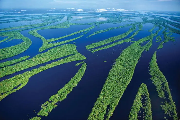 Amazon+River+in+Brazil